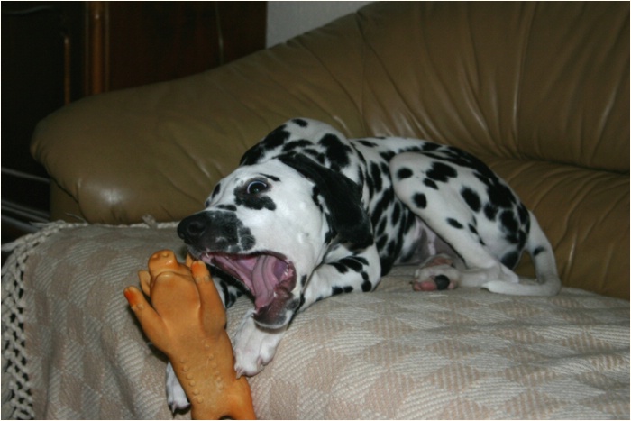 <b>was hab ich? Mundgeruch???<b>